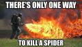 I don't like spiders!!!